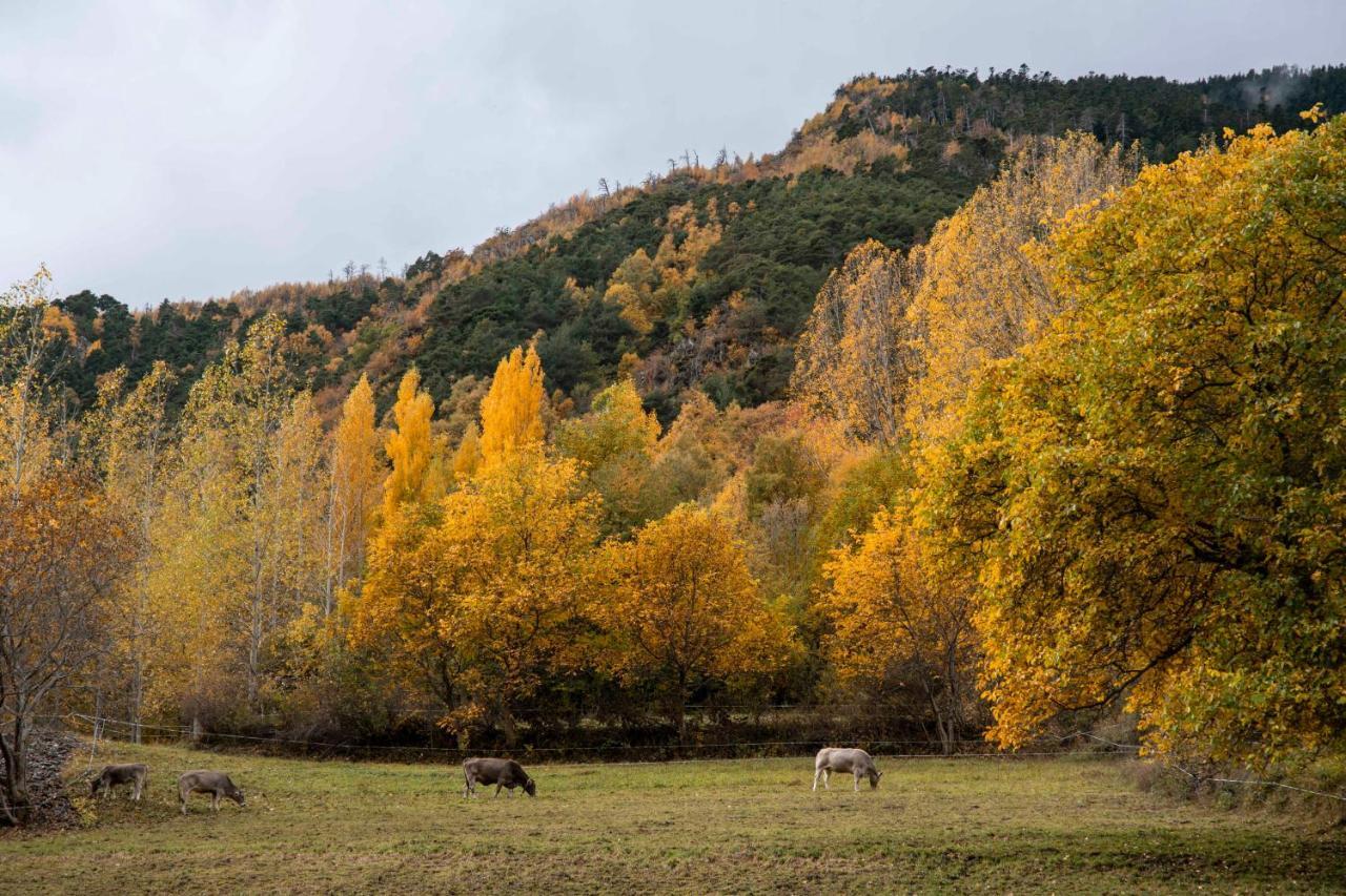 Casa Rural Besoli Areu Exteriör bild